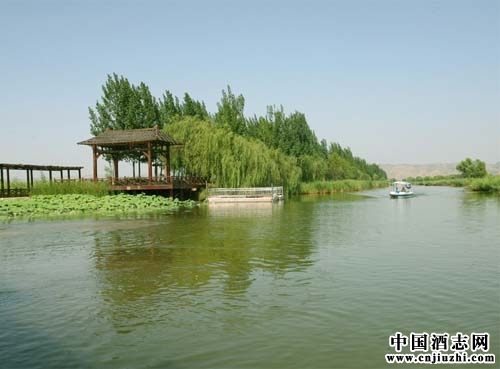 ˮ�ʶ԰׾Ƶķ�ζ��ʲôӰ�죿