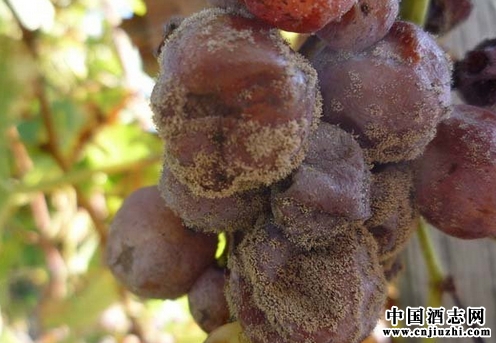 �������Ѿƶ��������������죿��ϲ������