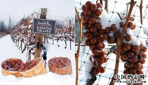 �������Ѿƶ��������������죿��ϲ������