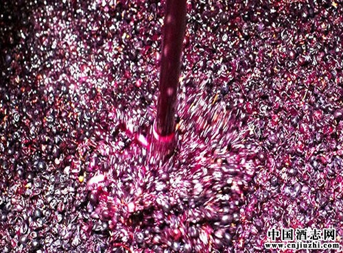 ���Ѿ��еľƾ���������