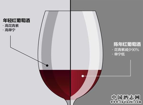 �������Ѿ����������Ѿ�����Щ����