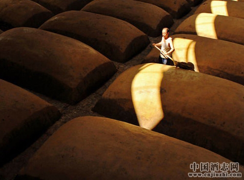 �����Ͱ׾�֪ʶ Ϊ���ڶ���������