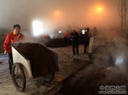 �����Ͱ׾�����֪ʶ Ͷ��Ϊ�γ�Ϊ