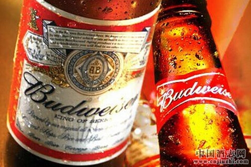 ����Ӣ���ٻ�2016�й�������νܳ���ҵ����