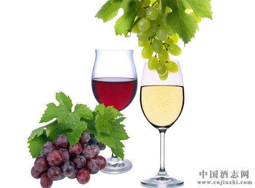 ���ʦ�����������Ѿ�Ӧ�����Լ��ļ��⡱