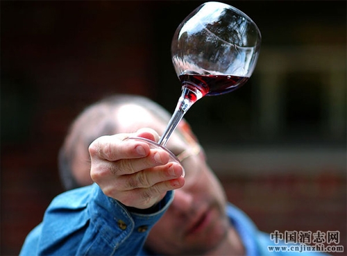 ���Ѿ�Ʒ�Ƶ�ʮ������������������