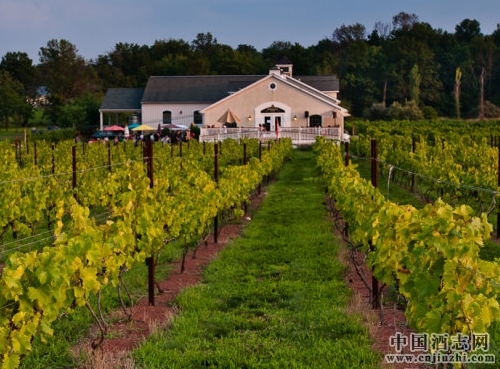 �������Ѿ�ׯ������������Ʒ�ƽ��裿