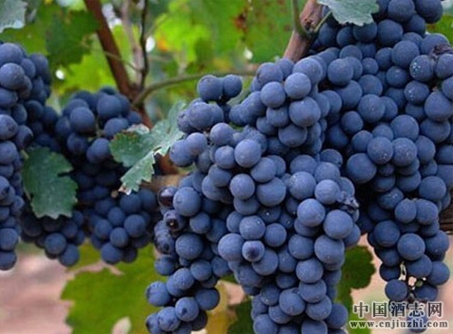 ��ϼ�������ص㣬��ϼ�������������Ѿ�����