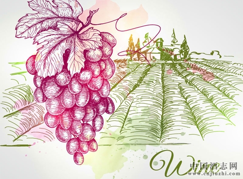 ��ͬ�������������Ը������ѾƸ����Ʒ��