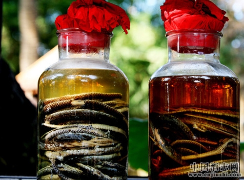 ��ͥ����ҩ�Ƽ��ֳ����Ĵ��淽��