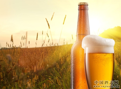 ơ��Ϊʲô�Ƚ��������ӣ�