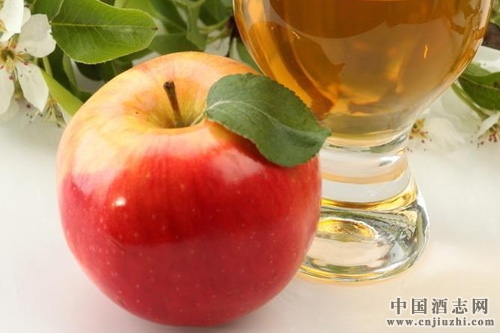 ����֪ʶ�������Ƶķ����ȫ