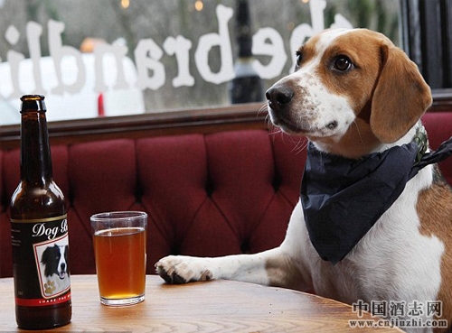 ����Ϊʲô���ܺȾƣ�