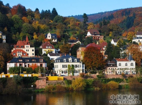 ̽������֮·����˿��֮·�ϵ�����