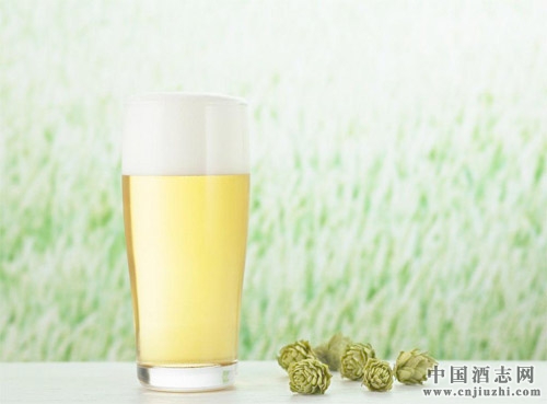 喝啤酒就该随便?如何斟啤酒?