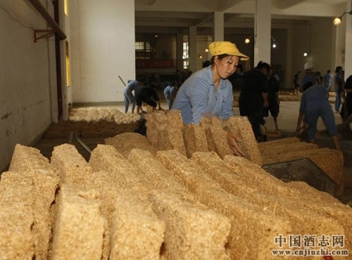 �����Ͱ׾�