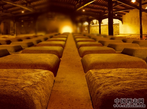 �����Ͱ׾�