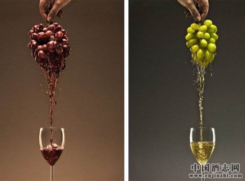 �����ɫ͸�����Ѿƻ������