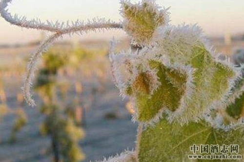 ���Ĳ����������ض��������־�ׯ��ʧ��80%